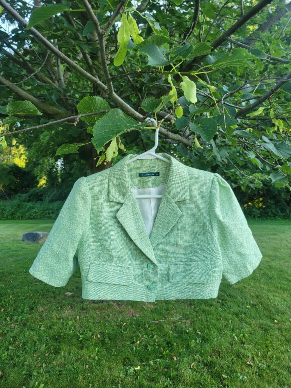 Adorable cropped light green jacket with puff sleeves and pretty button front.